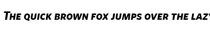 whitney webfont whitney webfont